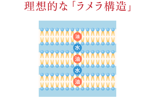 理想的な「ラメラ構造」