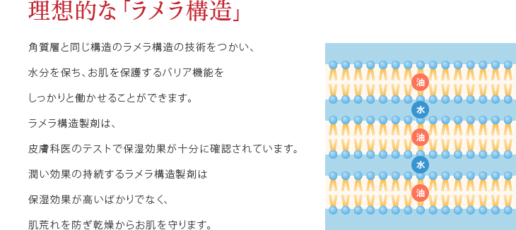 理想的なラメラ構造